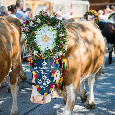 아파트 In Wald Near Slopes *