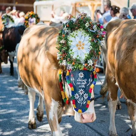 아파트 In Wald Near Slopes 왈드임핀즈가우